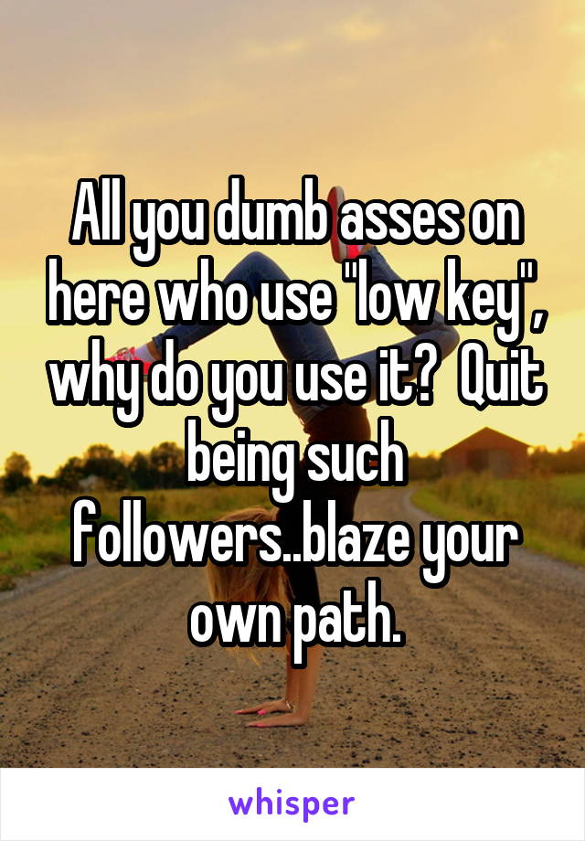 All you dumb asses on here who use "low key", why do you use it?  Quit being such followers..blaze your own path.