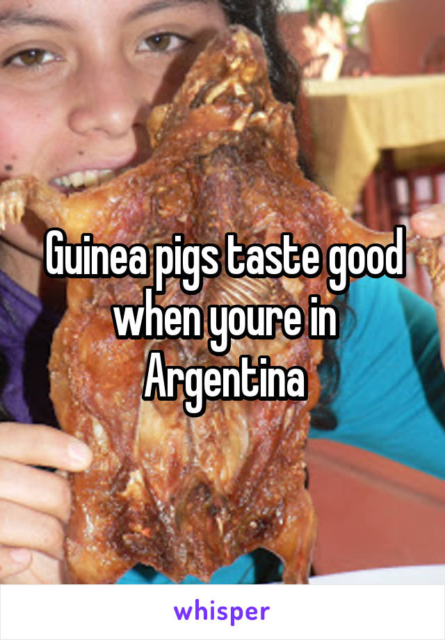 Guinea pigs taste good when youre in Argentina