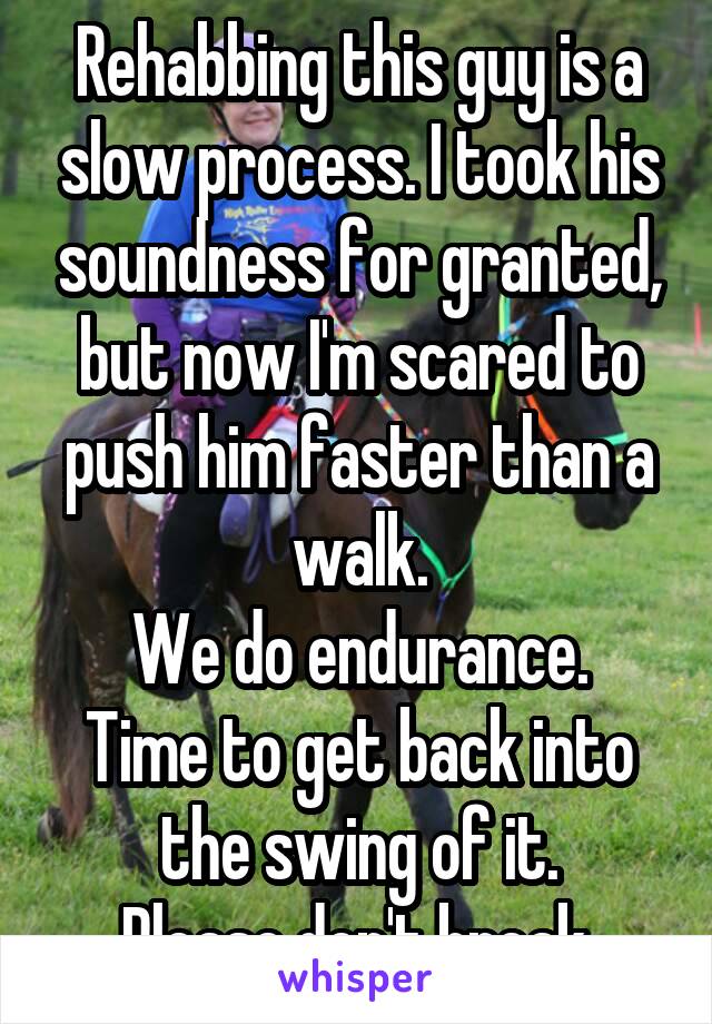 Rehabbing this guy is a slow process. I took his soundness for granted, but now I'm scared to push him faster than a walk.
We do endurance.
Time to get back into the swing of it.
Please don't break.