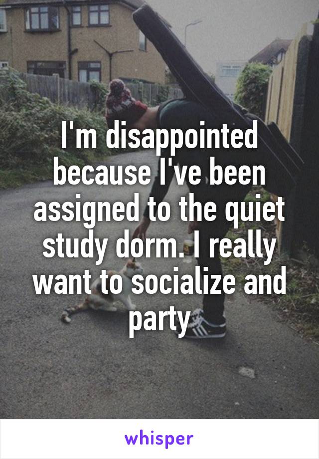 I'm disappointed because I've been assigned to the quiet study dorm. I really want to socialize and party