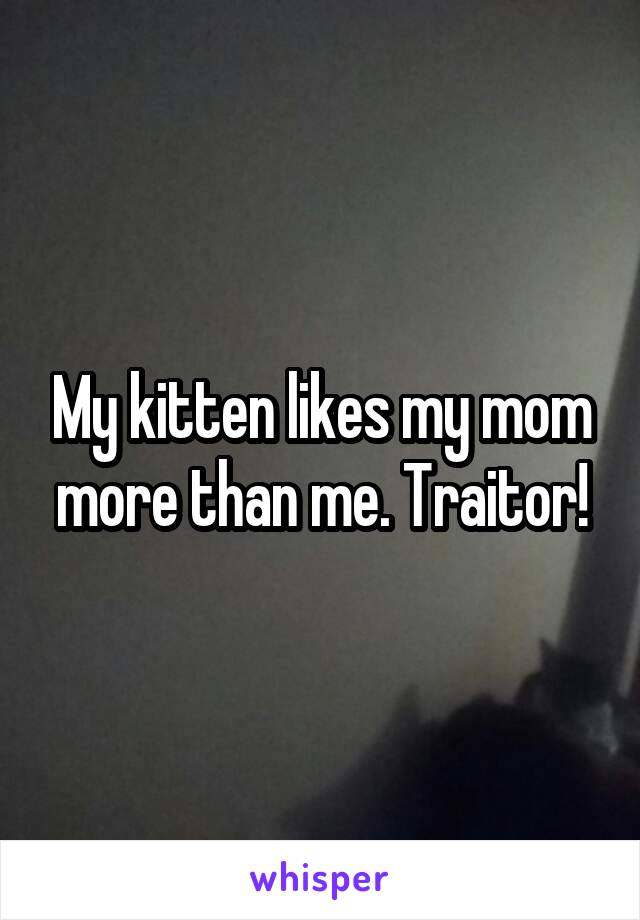 My kitten likes my mom more than me. Traitor!