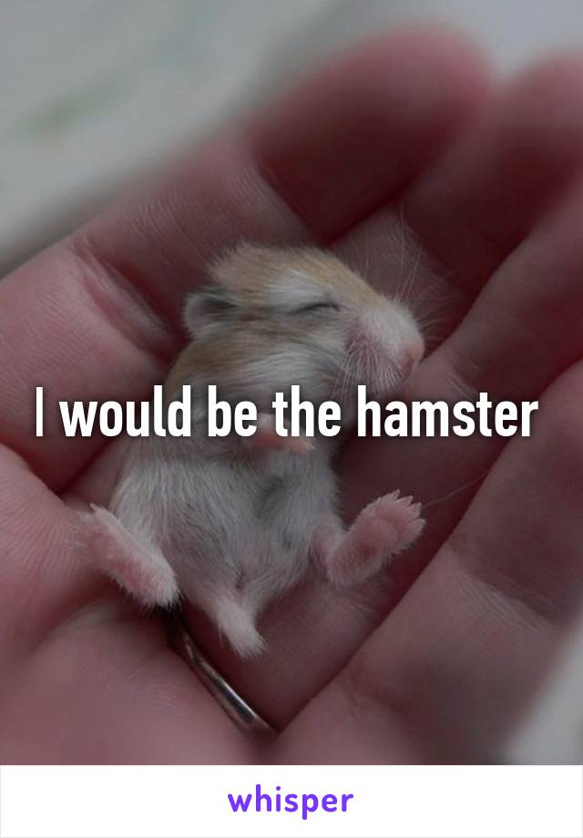 I would be the hamster 