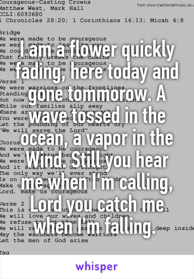 I am a flower quickly fading, here today and gone tommorow. A wave tossed in the ocean, a vapor in the Wind. Still you hear me when I'm calling, Lord you catch me when I'm falling. 