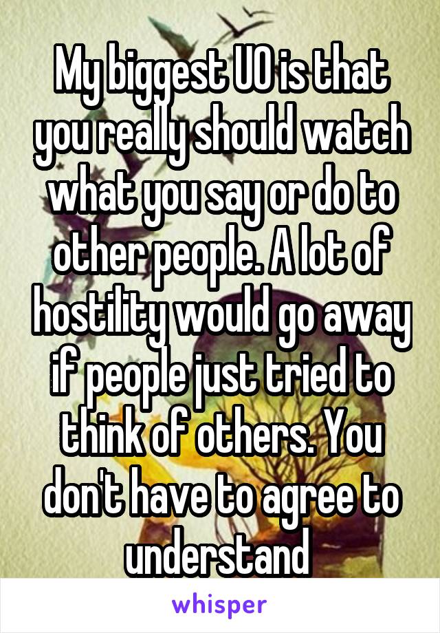 My biggest UO is that you really should watch what you say or do to other people. A lot of hostility would go away if people just tried to think of others. You don't have to agree to understand 