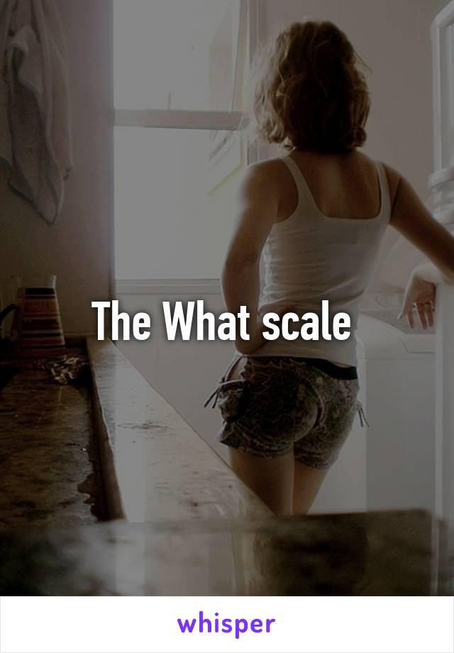 The What scale 