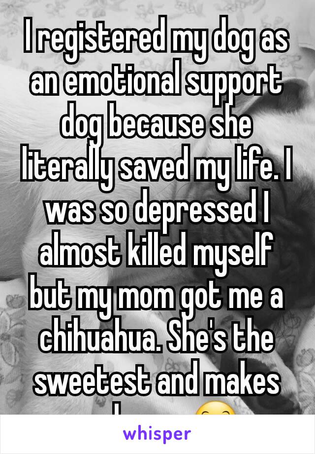 I registered my dog as an emotional support dog because she literally saved my life. I was so depressed I almost killed myself but my mom got me a chihuahua. She's the sweetest and makes me happy 😊