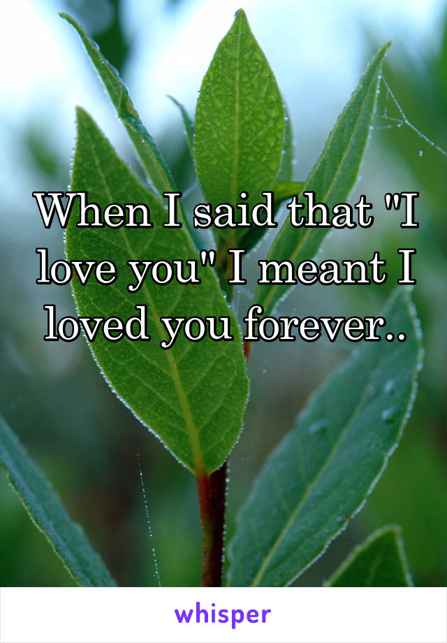 When I said that "I love you" I meant I loved you forever..

