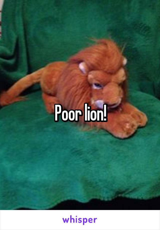 Poor lion!