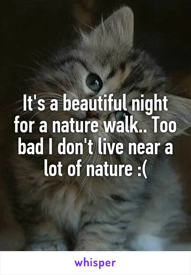 It's a beautiful night for a nature walk.. Too bad I don't live near a lot of nature :(