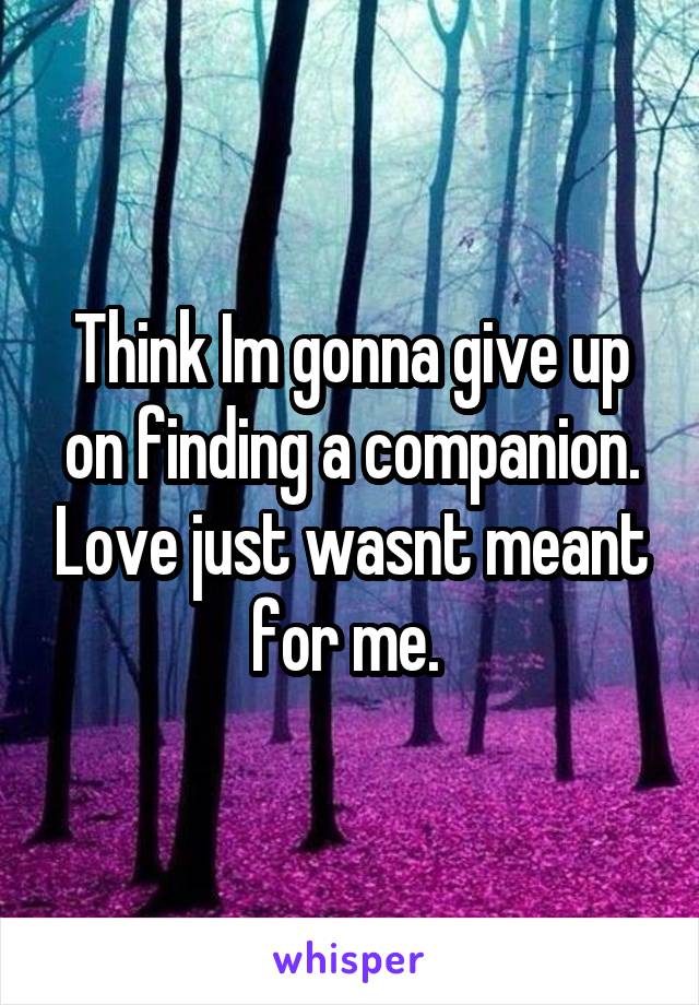 Think Im gonna give up on finding a companion. Love just wasnt meant for me. 