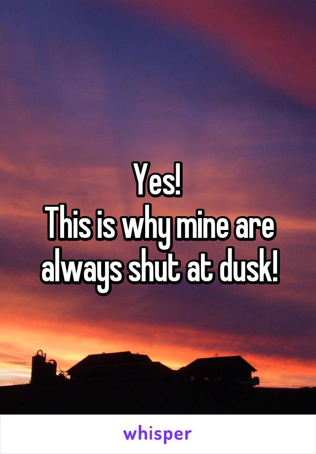 Yes! 
This is why mine are always shut at dusk!