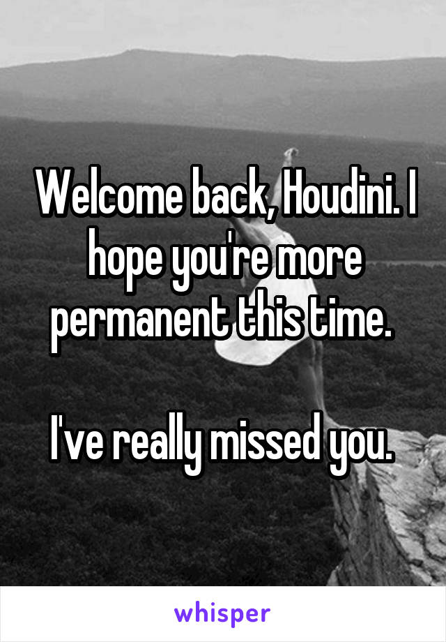 Welcome back, Houdini. I hope you're more permanent this time. 

I've really missed you. 