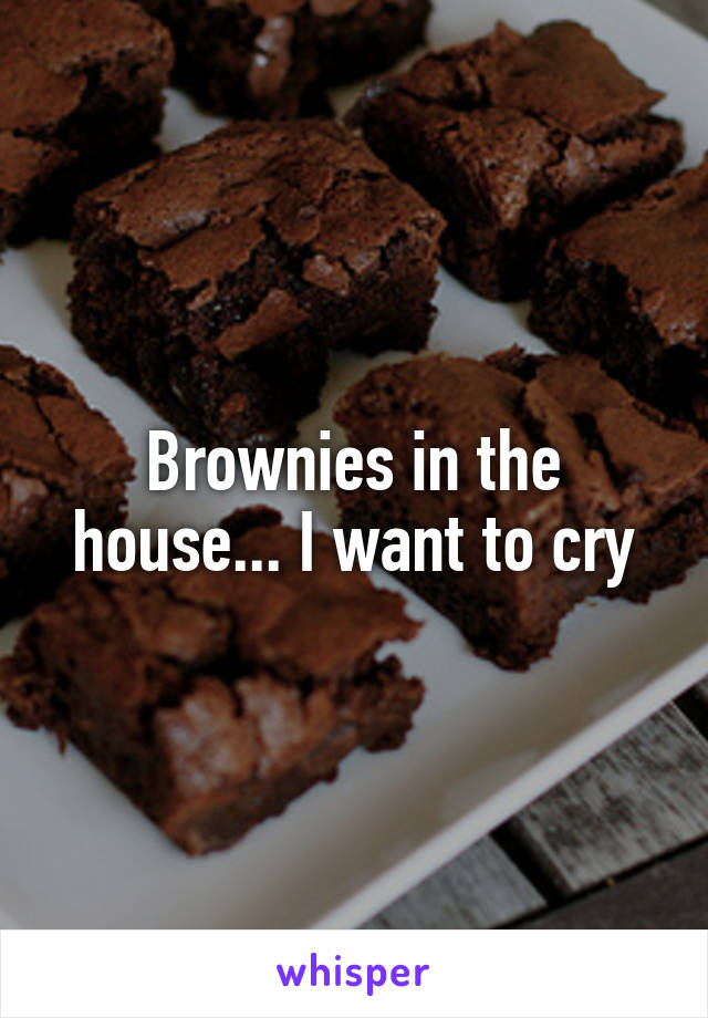 Brownies in the house... I want to cry