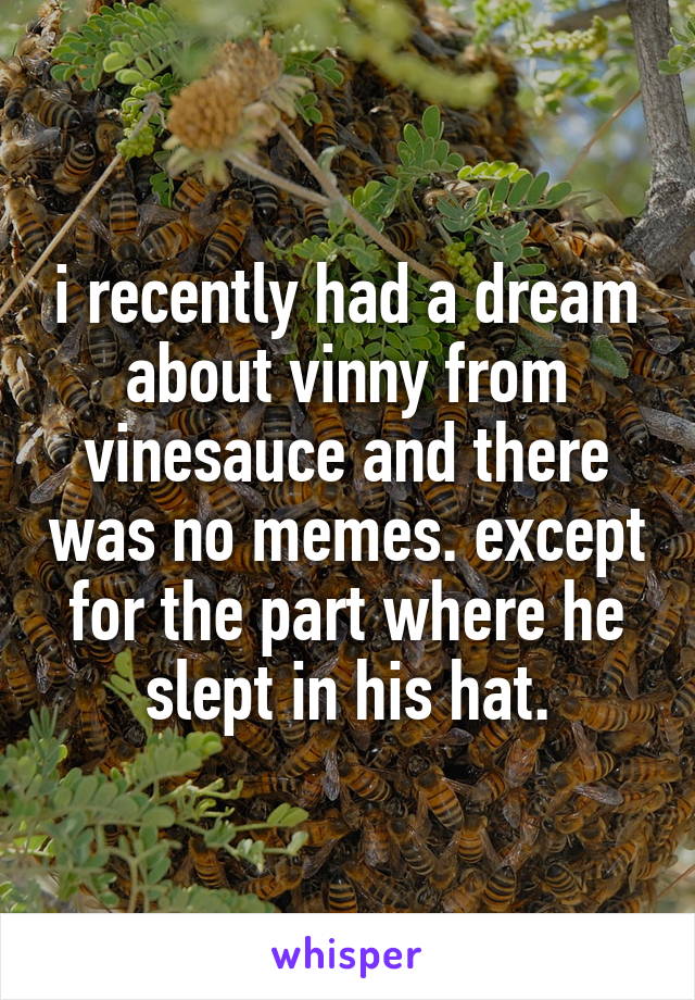 i recently had a dream about vinny from vinesauce and there was no memes. except for the part where he slept in his hat.