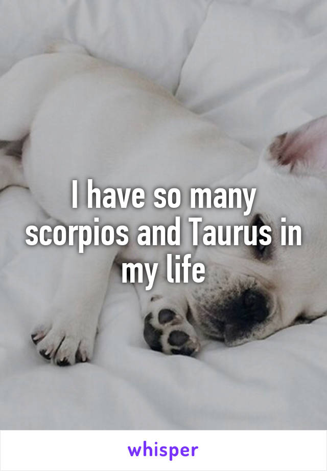 I have so many scorpios and Taurus in my life