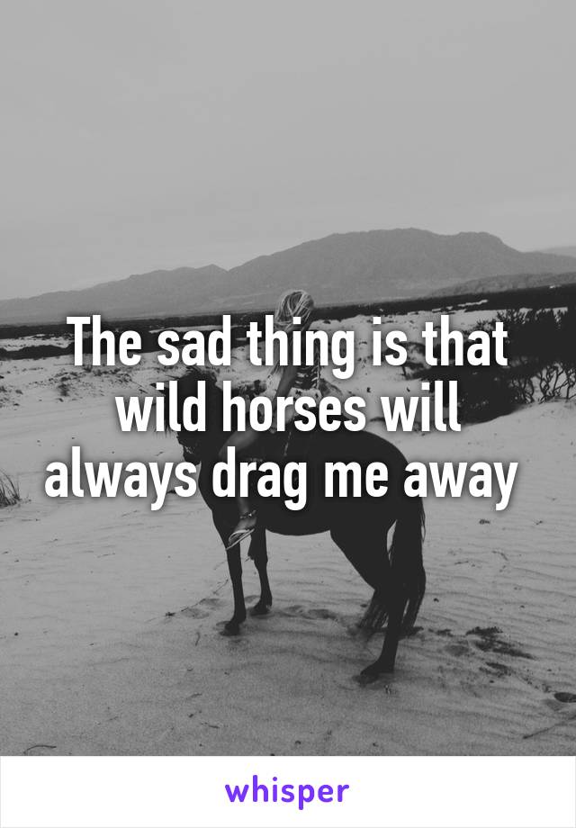 The sad thing is that wild horses will always drag me away 