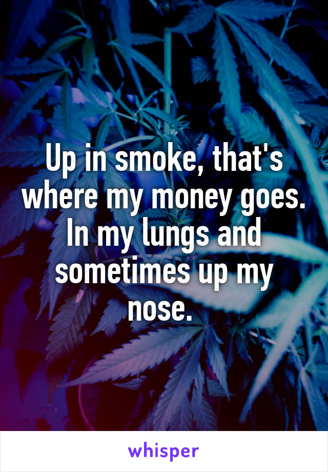 Up in smoke, that's where my money goes. In my lungs and sometimes up my nose. 