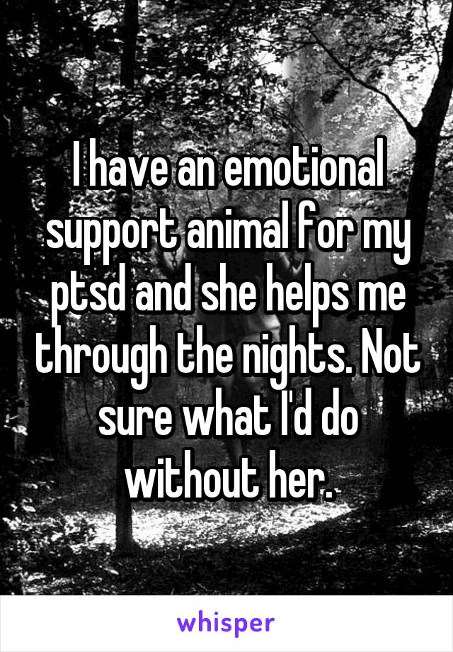 I have an emotional support animal for my ptsd and she helps me through the nights. Not sure what I'd do without her.