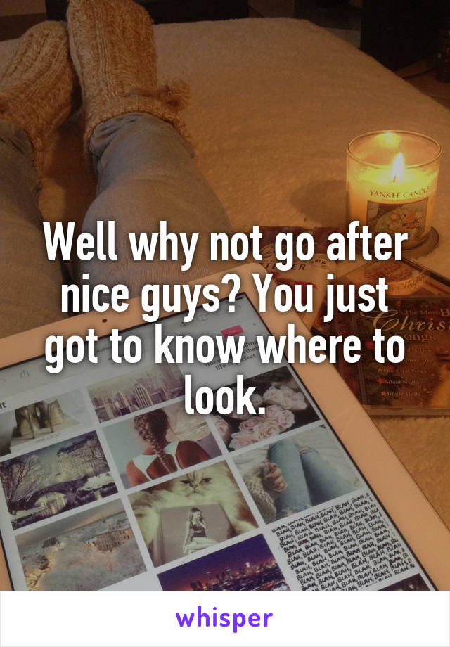 Well why not go after nice guys? You just got to know where to look.