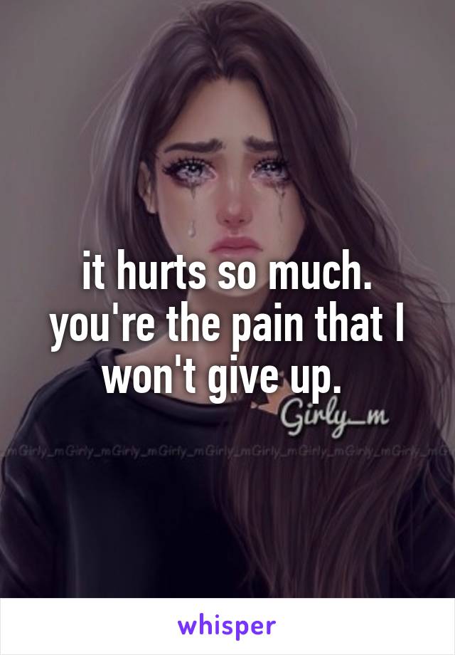 it hurts so much. you're the pain that I won't give up. 