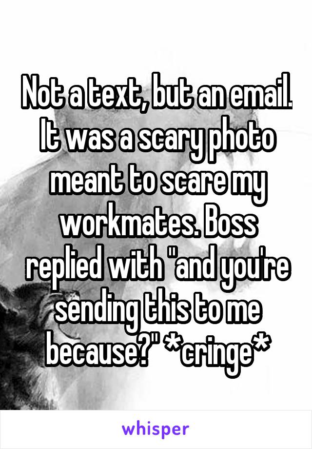 Not a text, but an email. It was a scary photo meant to scare my workmates. Boss replied with "and you're sending this to me because?" *cringe*