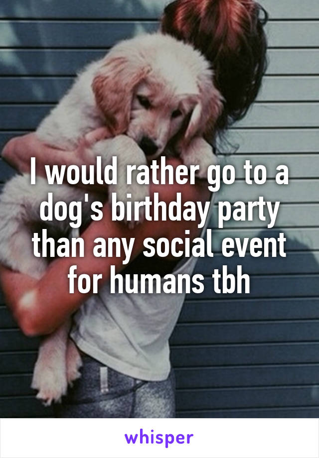 I would rather go to a dog's birthday party than any social event for humans tbh