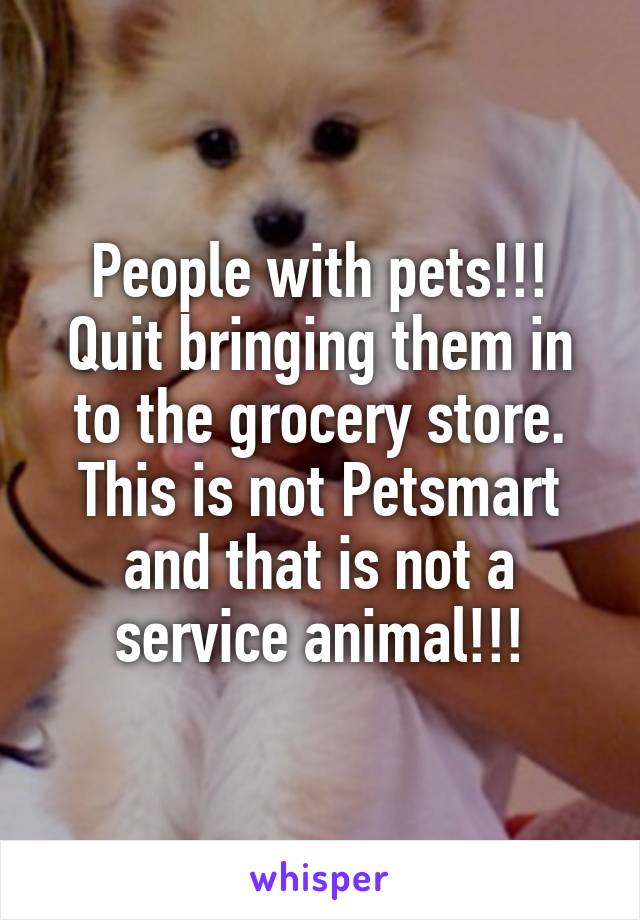 People with pets!!!
Quit bringing them in to the grocery store.
This is not Petsmart and that is not a service animal!!!