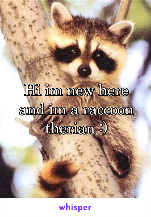 Hi im new here and im a raccoon therian :)