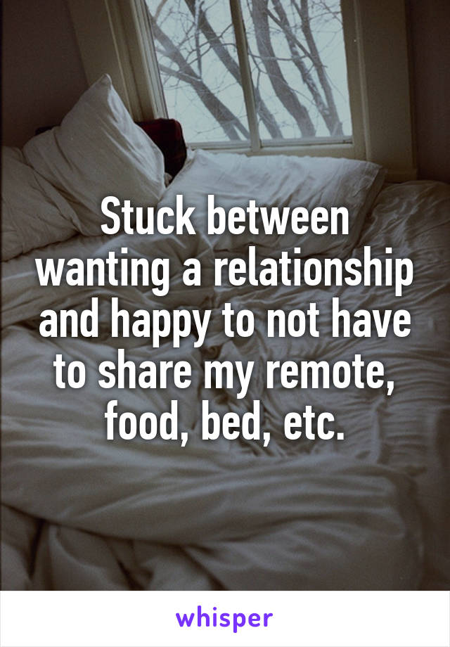 Stuck between wanting a relationship and happy to not have to share my remote, food, bed, etc.