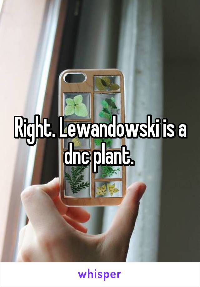 Right. Lewandowski is a dnc plant. 