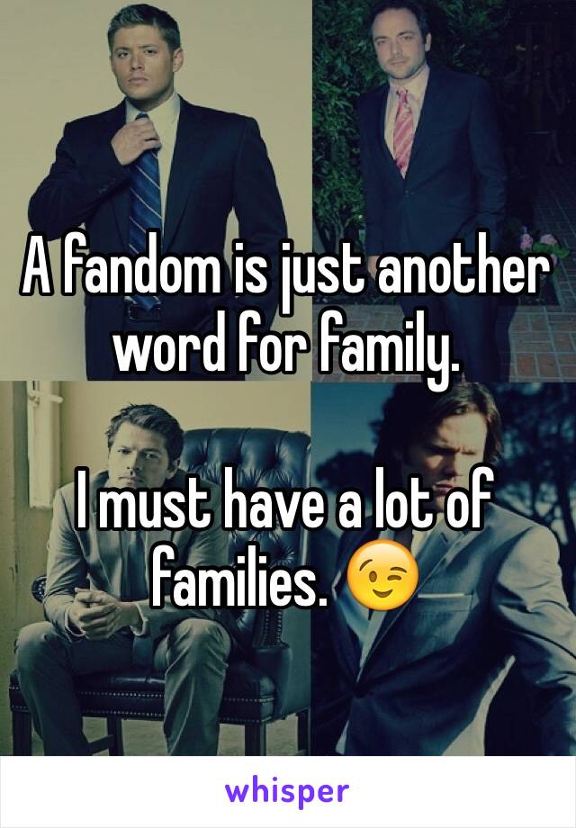 A fandom is just another word for family. 

I must have a lot of families. 😉