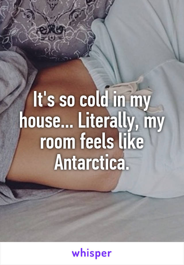 It's so cold in my house... Literally, my room feels like Antarctica.