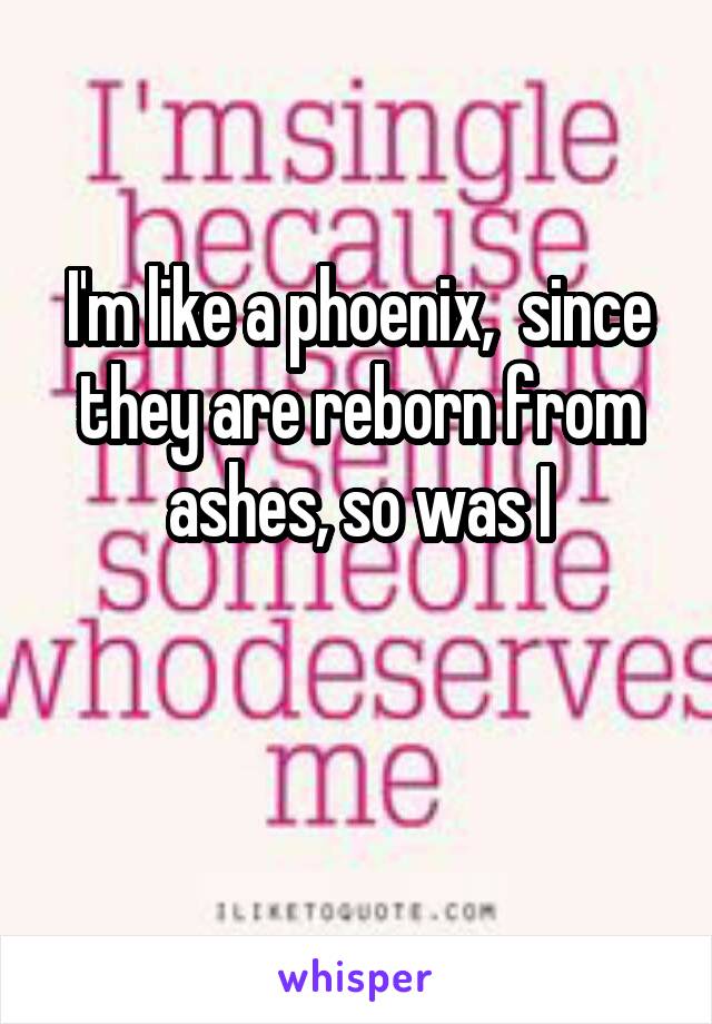 I'm like a phoenix,  since they are reborn from ashes, so was I

