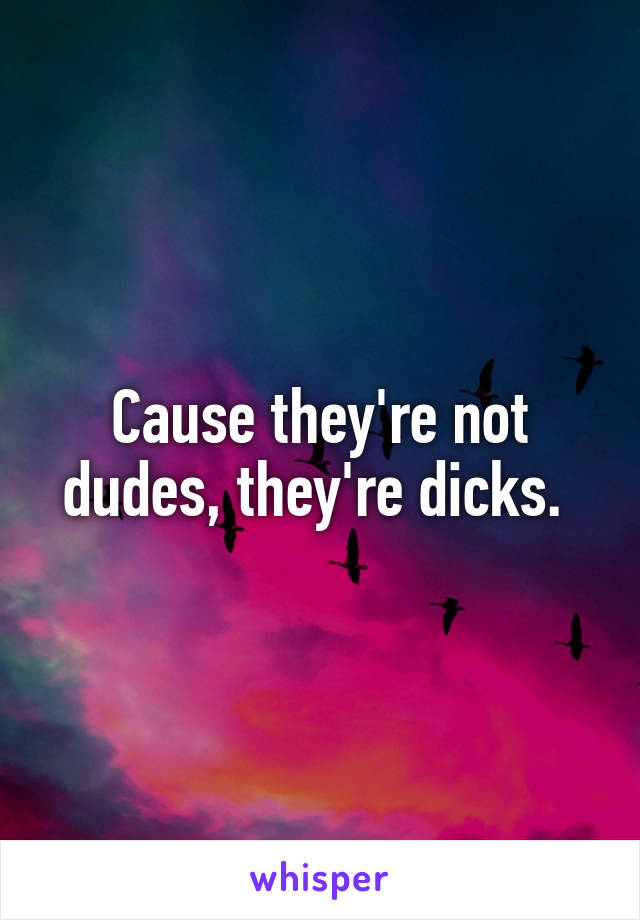 Cause they're not dudes, they're dicks. 