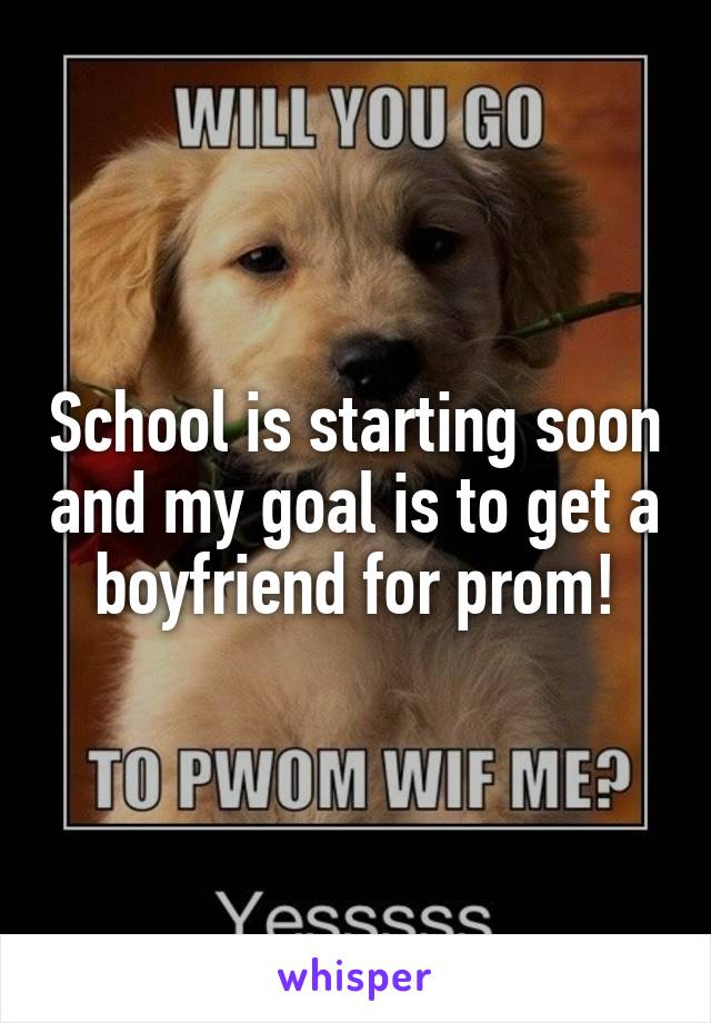 School is starting soon and my goal is to get a boyfriend for prom!