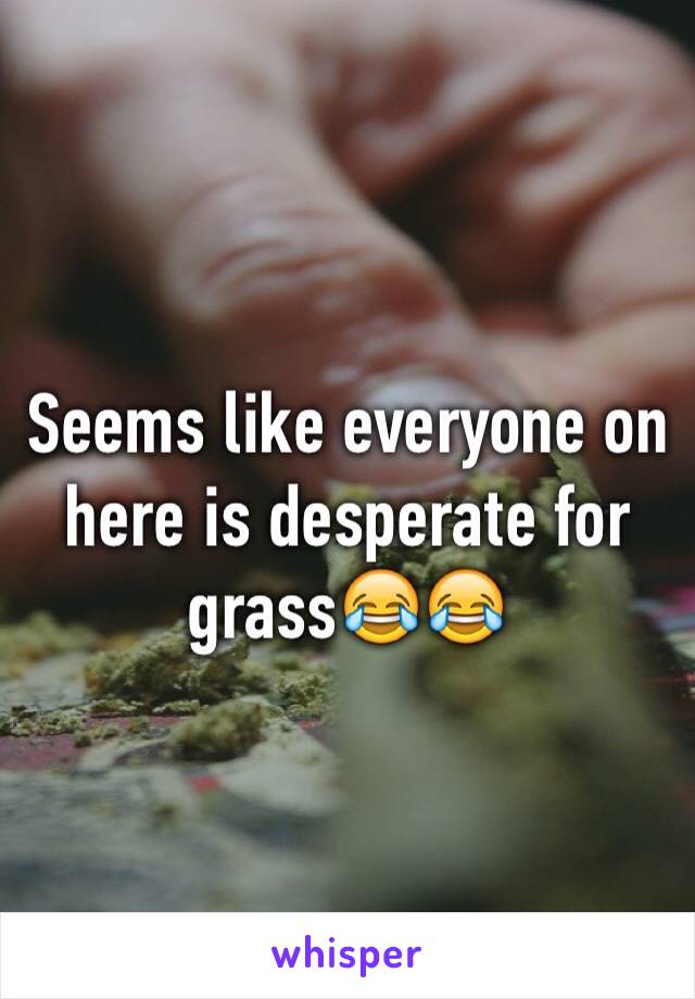 Seems like everyone on here is desperate for grass😂😂