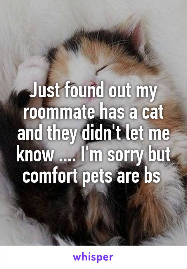 Just found out my roommate has a cat and they didn't let me know .... I'm sorry but comfort pets are bs 