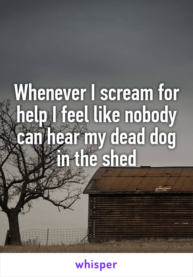 Whenever I scream for help I feel like nobody can hear my dead dog in the shed
