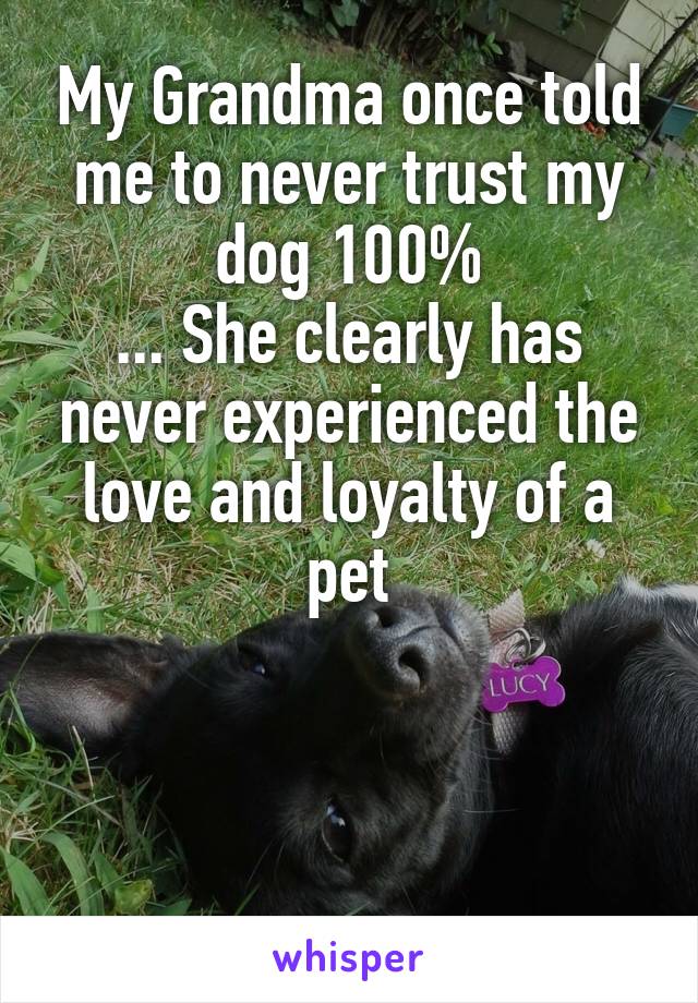 My Grandma once told me to never trust my dog 100%
... She clearly has never experienced the love and loyalty of a pet



