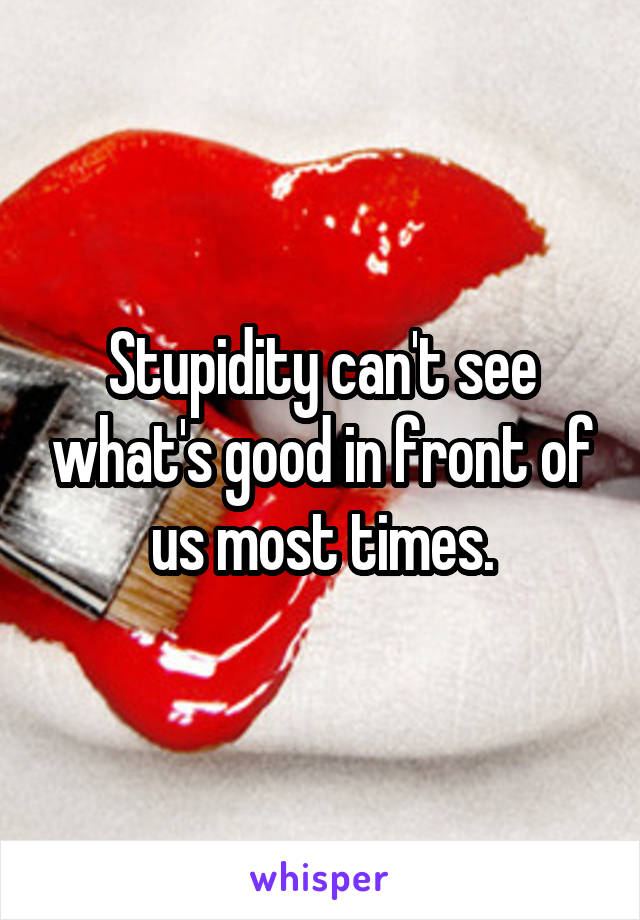 Stupidity can't see what's good in front of us most times.