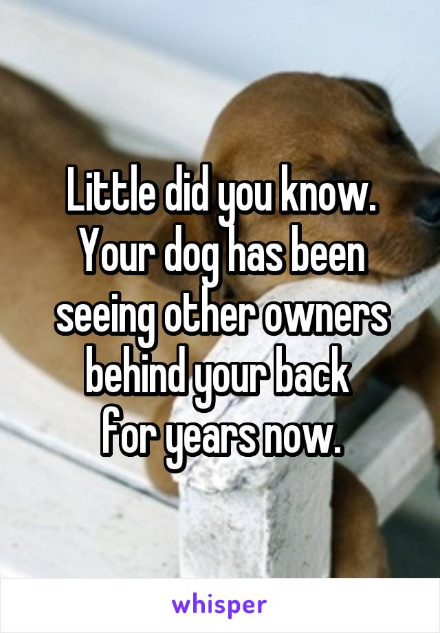 Little did you know. Your dog has been seeing other owners behind your back 
for years now.