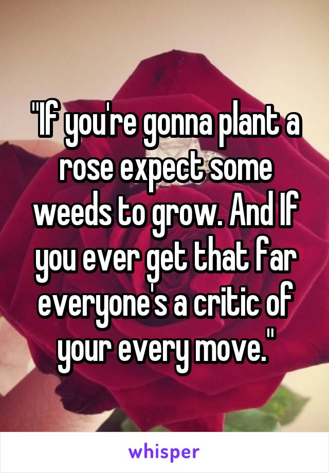 "If you're gonna plant a rose expect some weeds to grow. And If you ever get that far everyone's a critic of your every move."