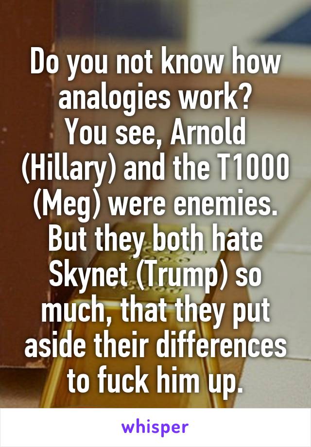 Do you not know how analogies work?
You see, Arnold (Hillary) and the T1000 (Meg) were enemies. But they both hate Skynet (Trump) so much, that they put aside their differences to fuck him up.