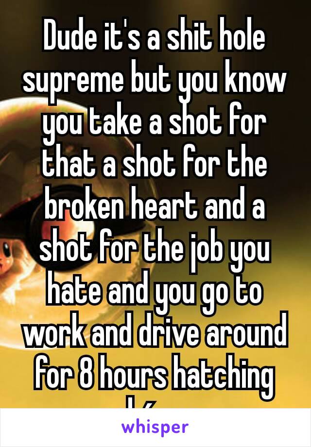 Dude it's a shit hole supreme but you know you take a shot for that a shot for the broken heart and a shot for the job you hate and you go to work and drive around for 8 hours hatching pokémon 