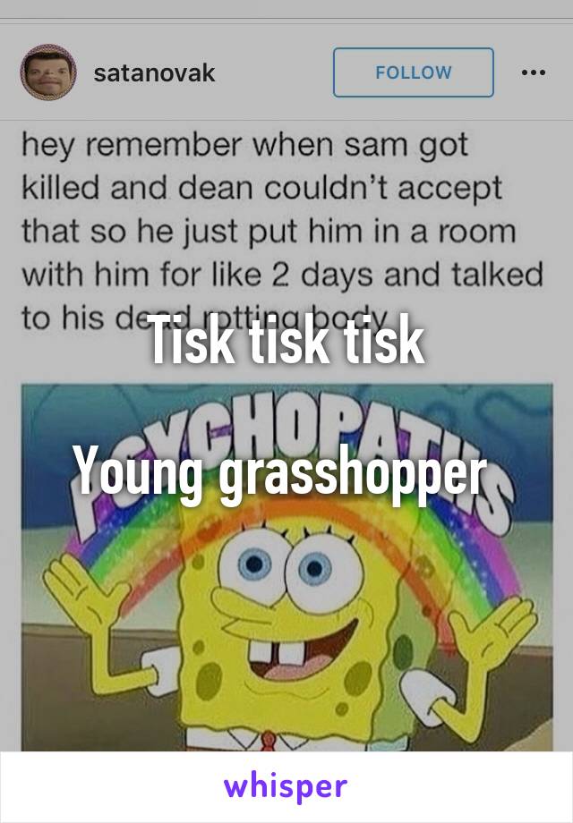 Tisk tisk tisk

Young grasshopper 