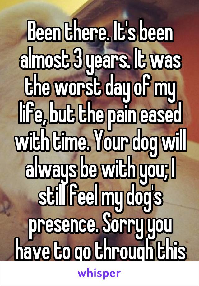 Been there. It's been almost 3 years. It was the worst day of my life, but the pain eased with time. Your dog will always be with you; I still feel my dog's presence. Sorry you have to go through this