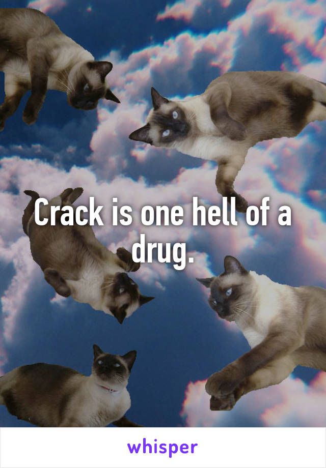 Crack is one hell of a drug.