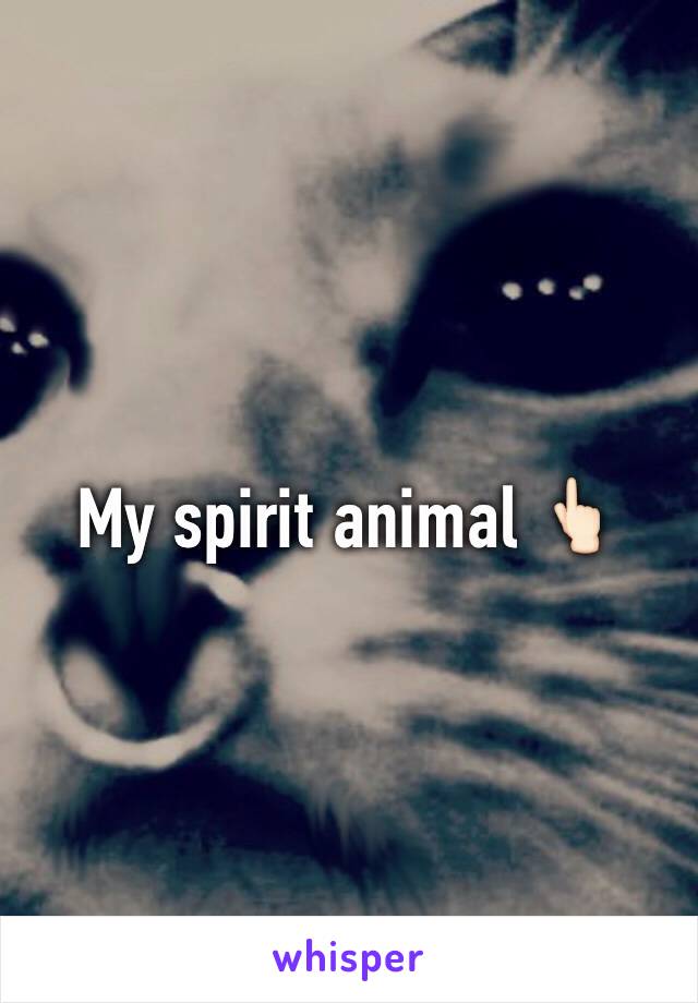 My spirit animal 👆🏻