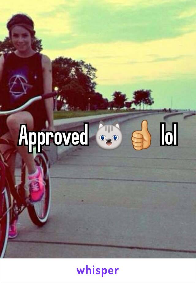 Approved 😺👍 lol