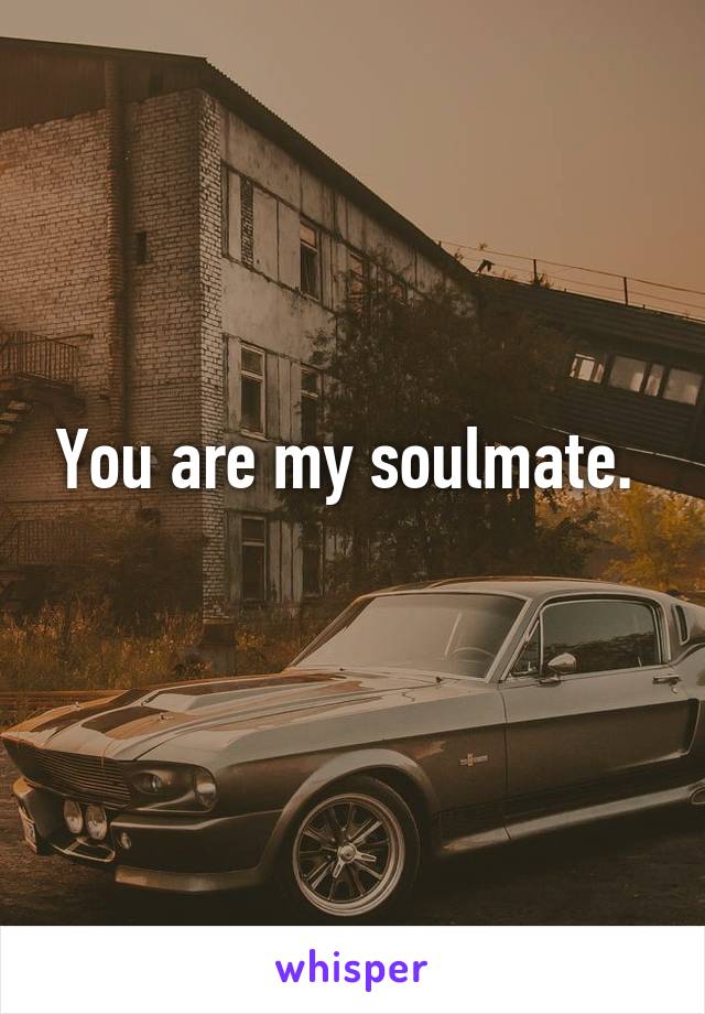 You are my soulmate. 
